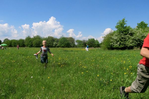 YS w Kanaanie – 14