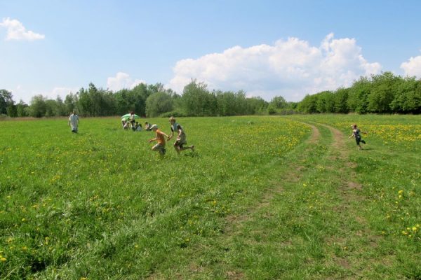 YS w Kanaanie – 12